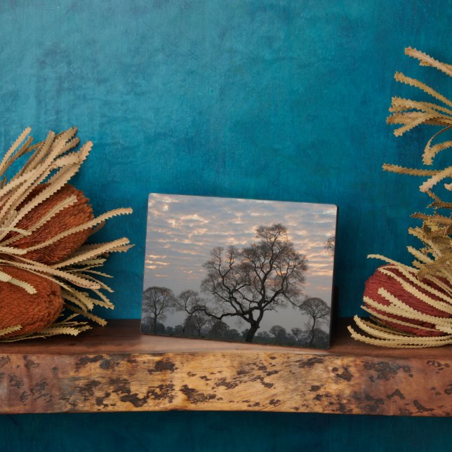 Placa Expositora Wetlands Pantanal | Sudamérica, Brasil (Lado)