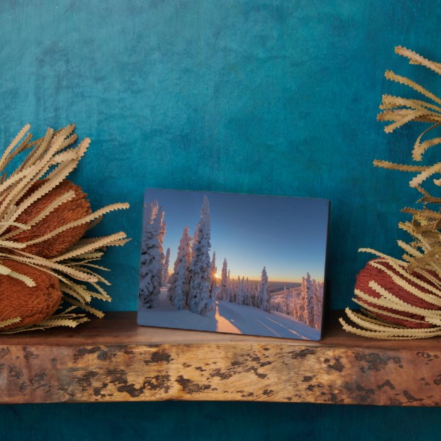Placa Expositora Whitefish, Montana (Lado)
