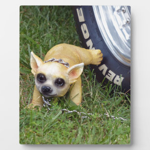 Placa Expositora Whiz Kid