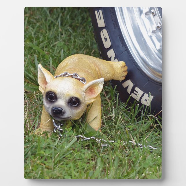 Placa Expositora Whiz Kid (Frente)