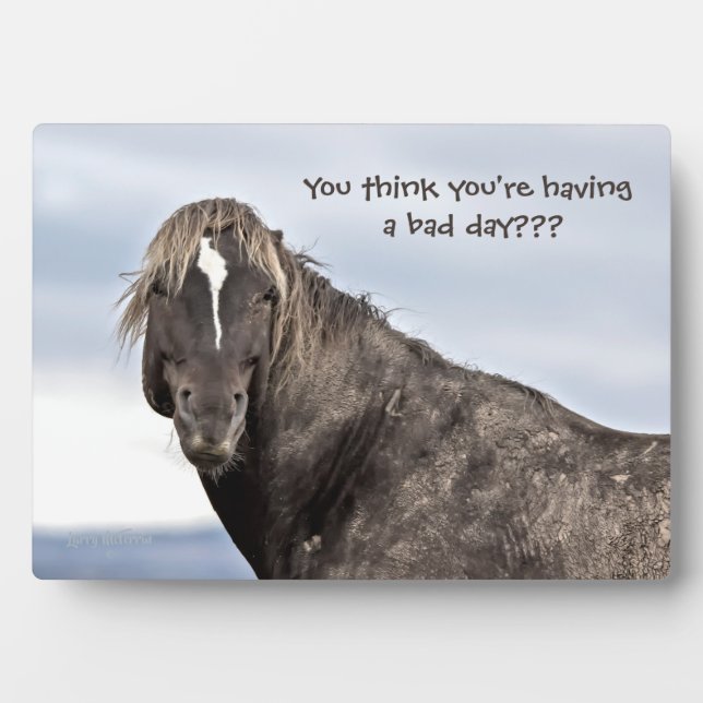 Placa Expositora Wild Mustang (Frente)