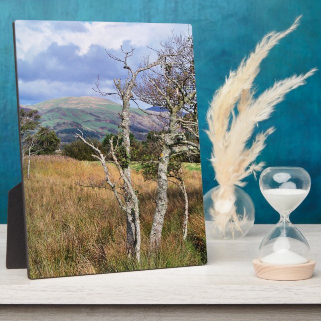 PLACA EXPOSITORA WILD WALES (Lado)