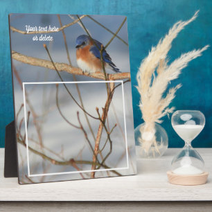 Placa Expositora Winter Bluebird crea tu propia foto