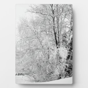 Placa Expositora Winter Whites
