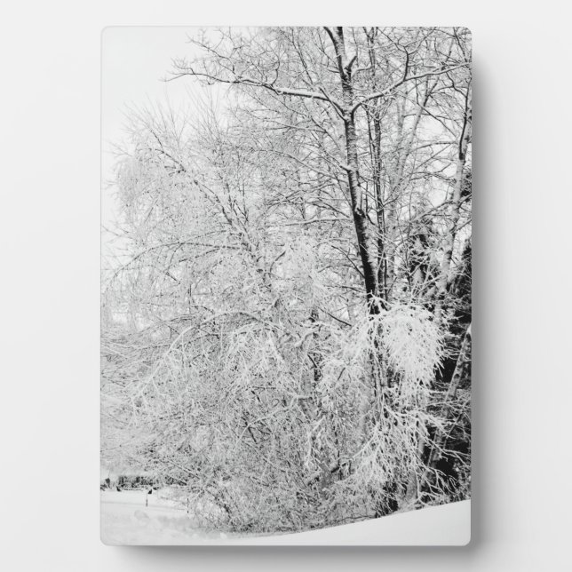 Placa Expositora Winter Whites (Frente)