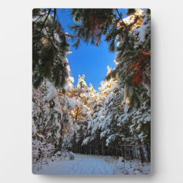 Placa Expositora Winter Wonderland