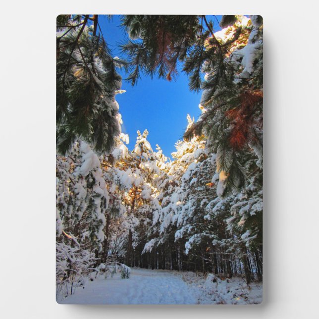 Placa Expositora Winter Wonderland (Frente)