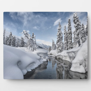 Placa Expositora Winter Wonderland