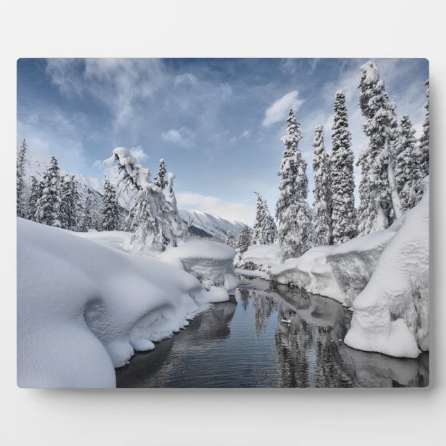 Placa Expositora Winter Wonderland (Frente)