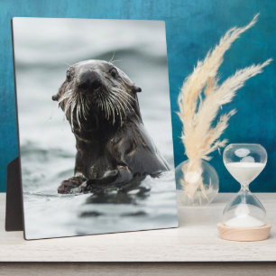 Placa Expositora Wise Otter