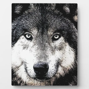Placa Expositora Wolf Eyes