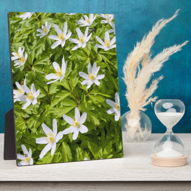 Placa Expositora Wood Anemone (Lado)