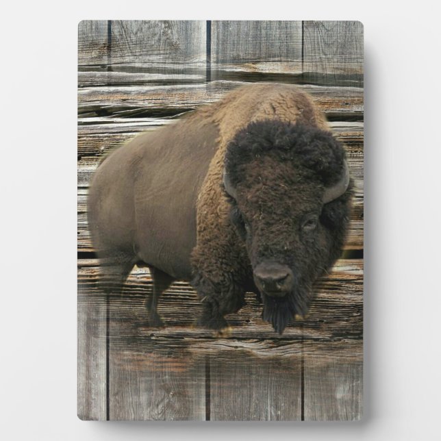 Placa Expositora Wood Bison (Frente)