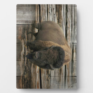 Placa Expositora Wood Bison