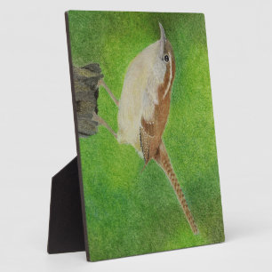Placa Expositora Wren