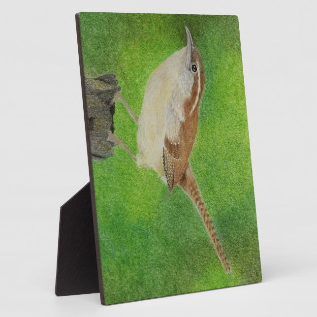 Placa Expositora Wren (Lado)
