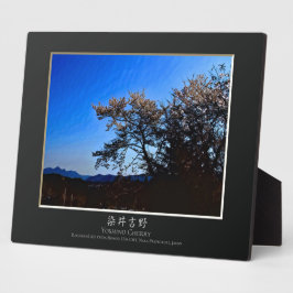Placa Expositora Yoshino Cherry