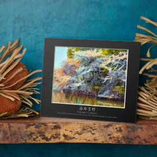 Placa Expositora Yoshino Cherry