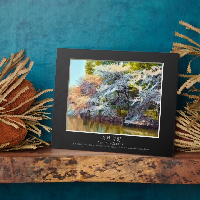 Placa Expositora Yoshino Cherry (Lado)