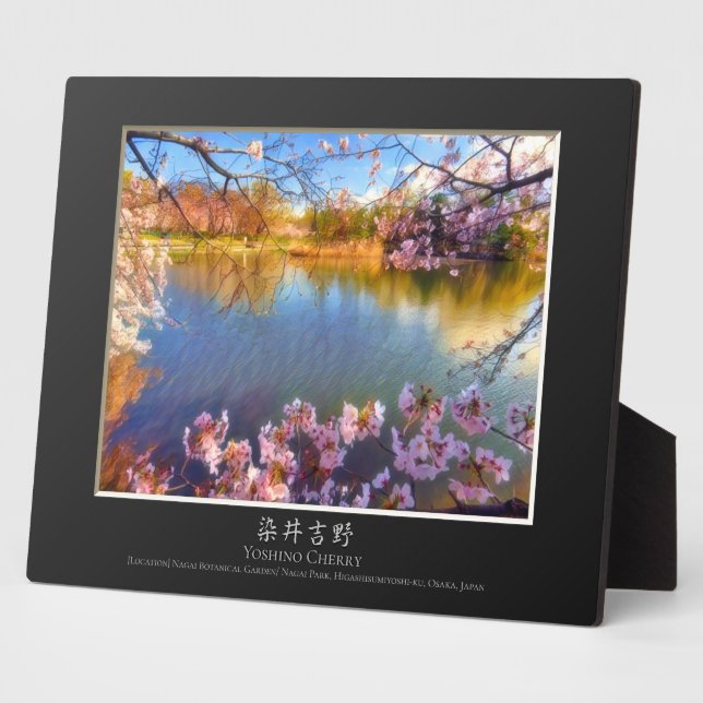 Placa Expositora Yoshino Cherry (Lado)