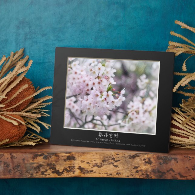 Placa Expositora Yoshino Cherry (Lado)