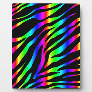 Placa Expositora zebra arco iris