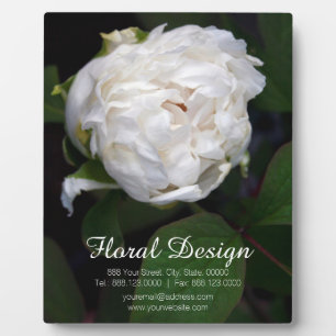 Placa fotográfica floral Peony Blanca