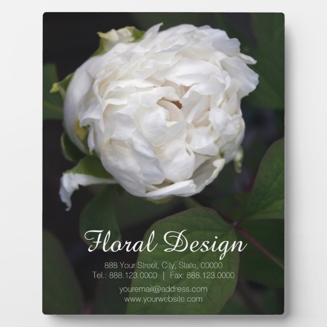 Placa fotográfica floral Peony Blanca (Frente)