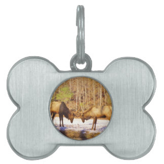 Placa Para Mascotas 2~ dos toros en la nieve