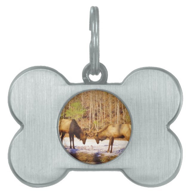 Placa Para Mascotas 2~ dos toros en la nieve (Frente)