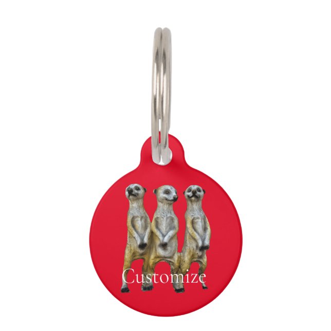 Placa Para Mascotas 3 Meerkats permanentes Thunder_Cove (Anverso)