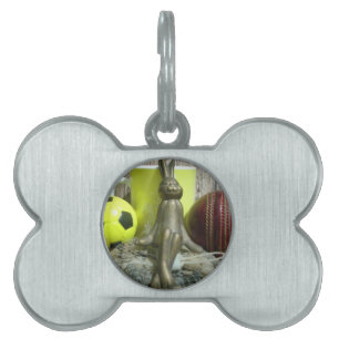 Placa Para Mascotas A lo largo de todo el terreno de juego y el cricke