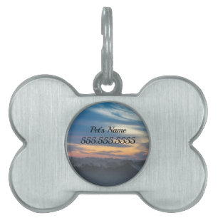 Placa Para Mascotas A través de la etiqueta de identificación de masco