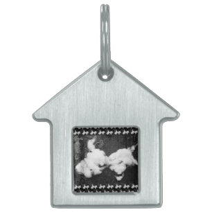 Placa Para Mascotas abajo esponjoso