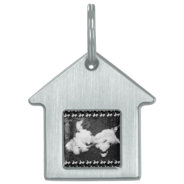 Placa Para Mascotas abajo esponjoso (Frente)