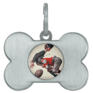 Placa Para Mascotas Abordado