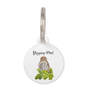 Placa Para Mascotas Acuarela Saw Whet Cute Little