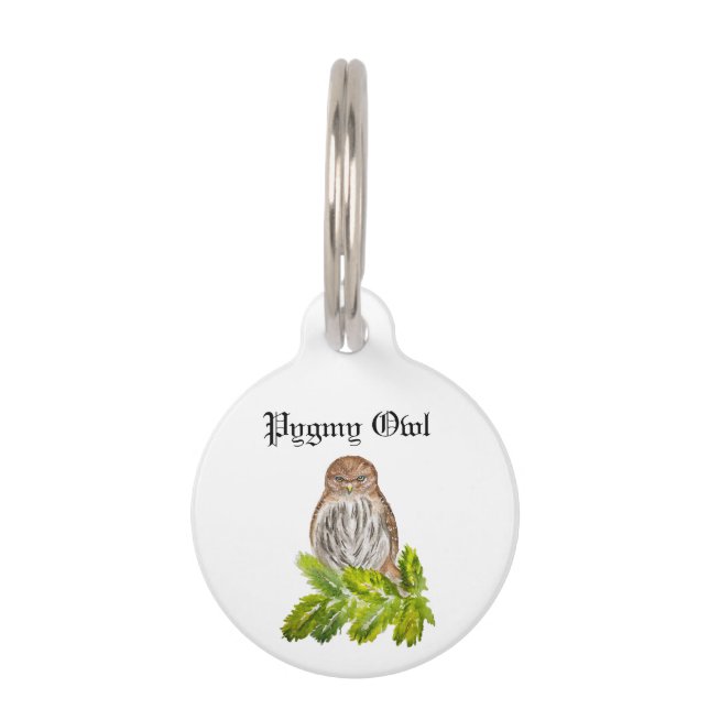 Placa Para Mascotas Acuarela Saw Whet Cute Little (Anverso)