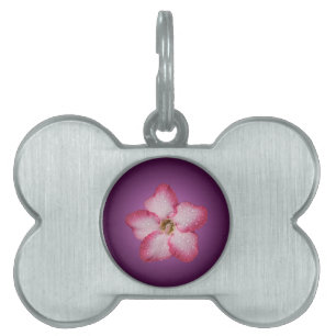 Placa Para Mascotas Adenium Flor Rosa Flora Gradiente Violeta