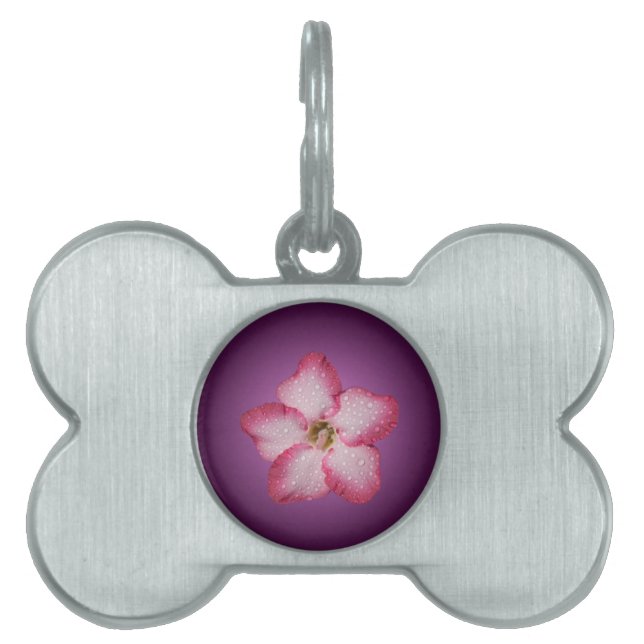 Placa Para Mascotas Adenium Flor Rosa Flora Gradiente Violeta (Frente)