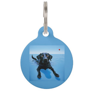 Placa Para Mascotas Adorno