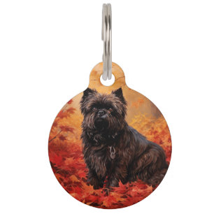 Placa Para Mascotas Affenpinscher inspirado en las hojas de otoño que 