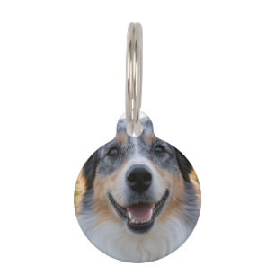Placa Para Mascotas Agregar foto de mascota personalizar