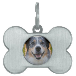 Placa Para Mascotas Agregar foto de mascota personalizar