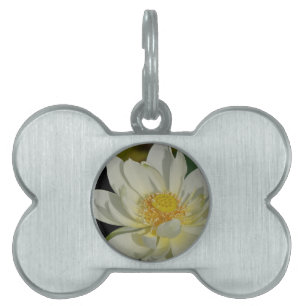 Placa Para Mascotas Agua cremosa Lily.JPG