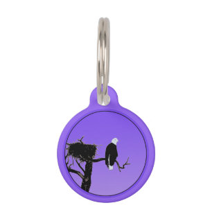 Placa Para Mascotas Águila calva al atardecer - Original Arte de Vida