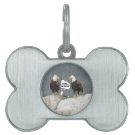 Placa Para Mascotas Aguilas divertidas y gaviota