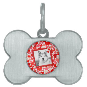 Placa Para Mascotas Alaskan Malamute Perro Valentines Corazón