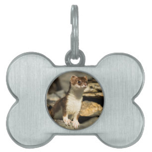 Placa Para Mascotas Alert Weasel