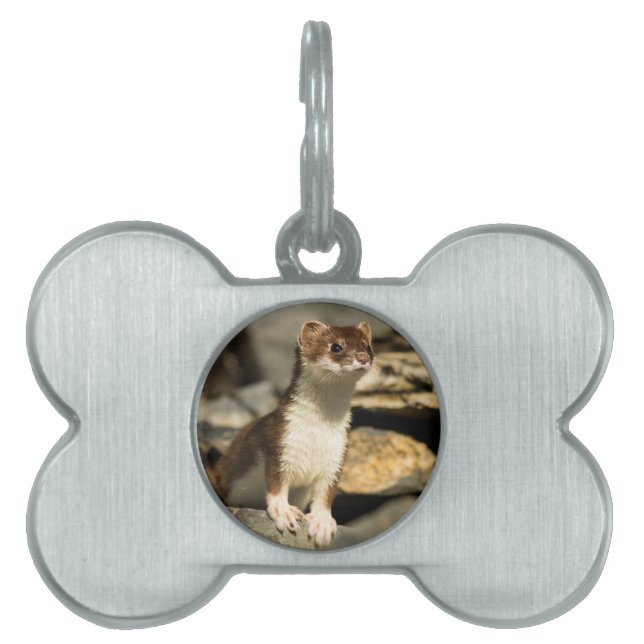 Placa Para Mascotas Alert Weasel (Frente)
